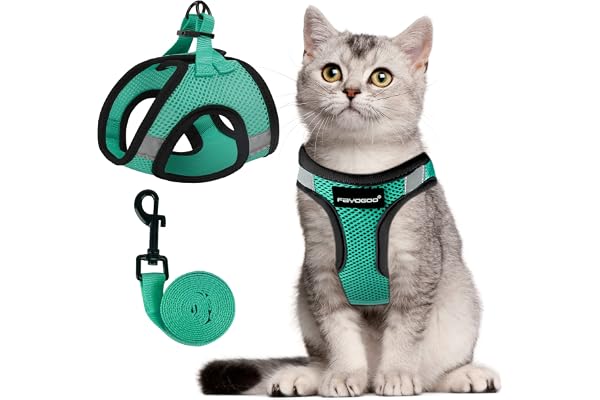 Harnais Chat Reglable, Harnais pour Chat de Laisse Anti évasion Harnais Léger pour Chaton, Harnais et Laisses pour Chat Respirante Facile à Contrôler avec Bandes Réfléchissantes (S (Lot de 1), Vert)