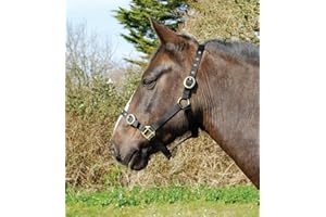 Rhinegold Nylon Headcollar - Pony - Black