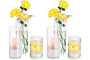 ‎HEWORY Hewory Glasvase Zylinder Vasen Set: 6er Vase Glas Kerzengläser Groß Glaszylinder für Kerzen - Zylindervasen Set Kerzenglas für Hochzeit Tischdeko Wohnzimmer Deko, Ø 6.5cm, 10/15/20cm