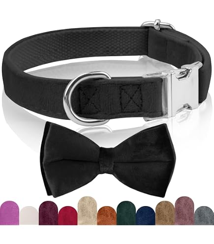Blue Boy Hundehalsband Mit Fliege – Glitzernd, Verstellbar, Für Kleine Hunde Und Katzen | Hundehalsband Mit Schleife, Glitzerndes Halsband Für Party, Alltag