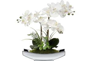 BRIFUL Bonsái de orquídea artificial en maceta para centro de mesa, sala de estar, decoración del hogar, etc., flores Phalaenopsis artificiales de seda
