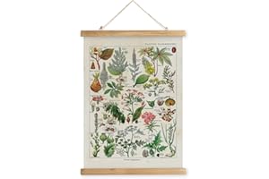 XIAOAIKA Affiche Botanique Vintage 'Plantes Dangereuses' - Poster Illustratif avec Cadre en Bois, Décoration Murale Élégante pour les Amateurs de Nature, 40 x 58 cm