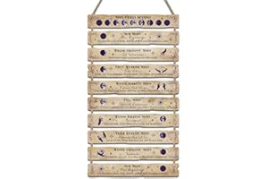 HPNIUB Decorazione da parete con placca di fase lunare, arte della parete della stregoneria, forniture di stregoneria, decorazione della casa celeste estetica, decorazione della cucina gotica, poster