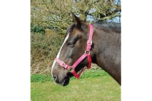 Rhinegold Nylon Headcollar - Pony - Raspberry