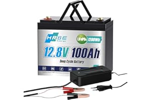 HRBEENERGY Batteria LiFepo4 12V 100Ah ricaricabile batteria al litio portatile con protezione BMS 100A e 4000-15000 cicli, perfetta per campeggio, auto, sistema solare, barche