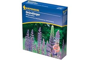 Kiepenkerl, Green fertiliser Lupine 1 kg
