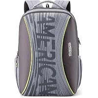 American Tourister Twing 26 Ltrs Grey Casual Backpack (FD0 (0) 08 002)