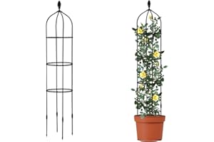 WERTSWF 2 pièces Treillis de Jardin obélisque 150cm de Haut, Support pour Plantes grimpantes, Treillis Vertical en Fer Enduit pour vignes, Roses, clématites, Lierre