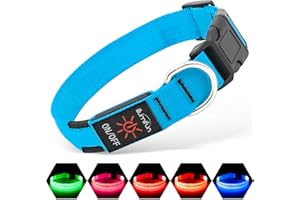 Illumifun LED Dog Collar, USB Rechargeable Light Up Dog Collar Glow in the Dark, Pet Safety Collar Lights for Night Walking Camping (Blue, Medium)