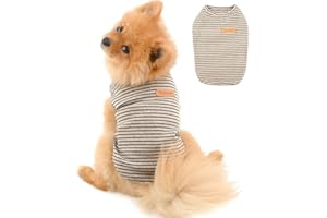 PAIDEFUL Camiseta británica para perro pequeño a rayas con diseño de gato, camiseta de algodón suave para niño y mascota, para verano, cachorro, chihuahua yorkie