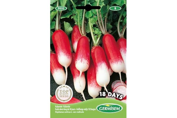Germisem graines Radis demi-long de 18 jours
