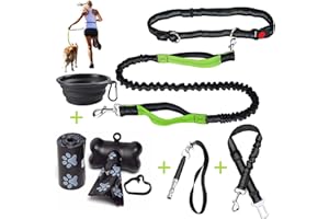 LOW&EE® Correa para Correr con Perros - Correa Manos Libres - Correa Reflectante Retráctil - Pack Cuenco Plegable -Cinturón para Coche - Silbato y Dispensador con 30 Bolsas excrementos (Negro - Verde)