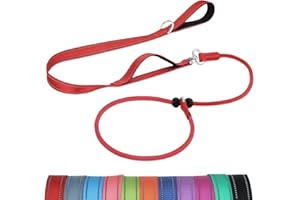 Joytale Correa Retriever de Entrenamiento, Doble Asa Acolchada, Collar Antideslizante, Correa Reflectante para Perros Pequeños y Medianos, 1,8 M, Rojo