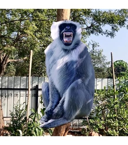 Ceative Print Solution, 5mm Sunpack 24x16 Inch Langoor Monkey Cut
