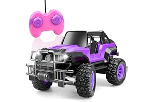 YNANIMERY RC Car | Remote Control Cars for Boys Girls 3 4 5 6 7 9 Year Gift- Off Road Rc Truck with Led Lights | 1:20 Scale Off Road Vehicle