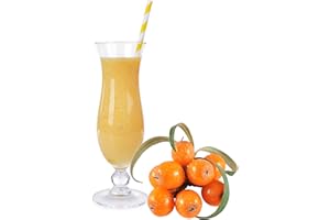 LUXOFIT DEUTSCHLAND Sanddorn Molkepulver Luxofit mit L-Carnitin Protein angereichert Wellnessdrink Aspartamfrei Molke (Sanddorn, 1 kg)