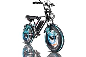 Kalorace Bici Elettrica per Adulti, Autonomia Massima di 50-80Km, Bici Elettrica con Pneumatici Fat da 20", Batteria Rimovibile da 48V-17.5/20Ah per Montagna, Neve, Sabbia e Strada.