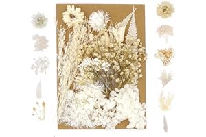 MENGYF Decorative Artificial Flowers Artificial Everlasting Flowers Real Dried Flowers Leaves Natural Dried Flowers for DIY Jewellery Crafts Nail Art Scrapbooks (White)