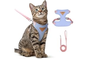 GÉNÉRIQUE Ensemble Harnais et Laisse Anti évasion pour Chat, Harnais Chat reglabl, Confortable, idéal pour Promener Le à l'extérieur, Convient aux Chatons, Chats Moyens et Grands (Bleu, XS)