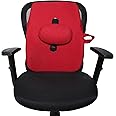 Flamingo Back Rest Support for Orthopedic Lumbar Support | Foam Back Rest Cushion | Designed for Chairs, Car Seat | Improves Posture with Adjustable Seat Cushion (Maroon, L)