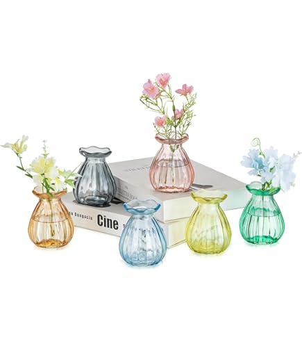 Glasseam Kleine Vaas voor Tafeldecoraties: 6 Stuks Mooie Glazen Vazen voor Thuis Woonkamer Eettafels Bruiloftsfeesten - Gekleurde Vazen voor Bloemen Planten en Boeketten