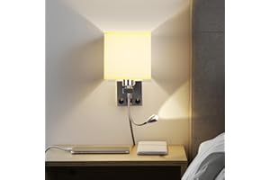 OurLeeme Bedside Wall Light, 2 in 1 Reading Soft Light Wall Lamp with Flexible LED Reading Light, 2 Toggle Switches for Living Room, Bedroom (Bulb not Included)(1 Light with USB)