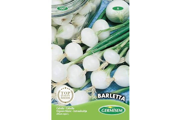 Germisem graines Oignon blanc BARLETTA