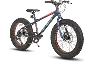 HH HILAND HILAND 20 Inch Fat Tire Mountain Bike for Kids, 7 Speed Boys and Girls Mountain Bicycle, Dual-Disc Brakes, Kids Beach and Snow Bicycle, Multiple Colors