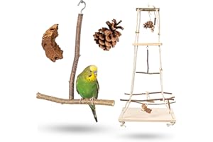 Atemberaubender Vogelspielplatz hängend mit vielen Sitzstangen ! Tolles Vogelspielzeug für Wellensittich, Nymphensittich & Co.