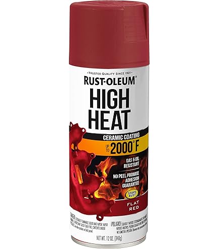 Rust-Oleum 248927 Wheel Spray Paint, 325ml (Silver) : Amazon.in