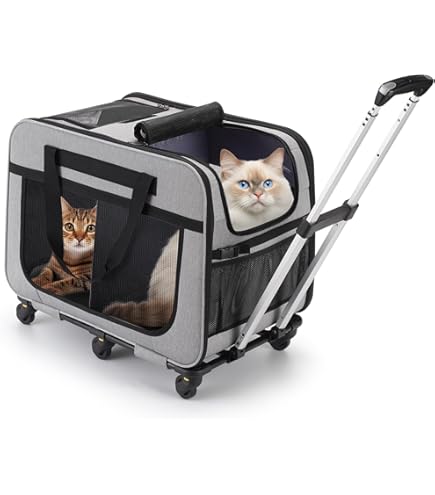 Transportboxen | voor je kat vind je bij tuin & dier