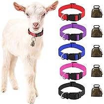 Collari Riflettenti Per Capre E Pecore - Con Campanella, Regolabili, 5 Pezzi Multicolore