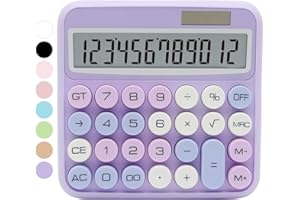 QPENGUINBABIES Calcolatrice standard viola - 12 cifre con grande display LCD e pulsanti grandi, perfetta per ufficio, scuola, casa e affari