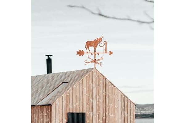 SUPERDANT Girouette de Jardin Exterieur D'Âne Girouette de Toit Animal Girouettes D'Âne Attachée Âne Girouette de Toit Ornement Extérieur Toit en Fer Ferme Cour Décor à la Maison Deco Jardin Exterieur