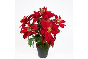Seidenblumen Roß Weihnachtsstern Nature 38cm samt-rot im Topf PM künstliche Blume Kunstpflanze Kunstblumen Poinsettie