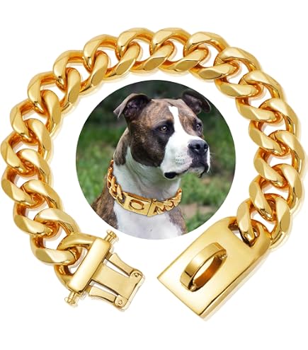 KINGOLDOGS Martingal-Halsband Für Große Hunde – 32 Mm, Edelstahl, Schwarz, Mit Sicherheitsschnalle, Größen 45,7–66 Cm