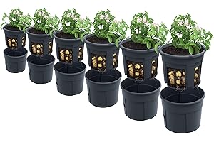 ‎PAFEN PAFEN 6X Kartoffelanbau Kartoffel-Pflanztopf – 295 x 235 mm - Kartoffel-Anzuchttopf Gemüse Kartoffeln Pflanzkübel Pflanztopf
