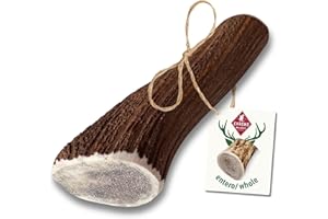 ChronoBalance XL Asta de Ciervo para Perros, 100% Naturales Piezas Enteras, Palillo Masticable, Juguetes para Perros, Tratar Cuidado Dental, Sin Aditivos, Larga Duración, Conjunto de 1