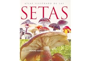 Atlas Ilustrado De Las Setas