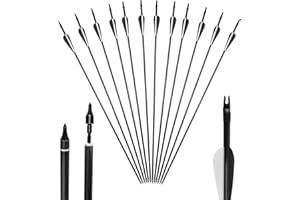 Dhouse 10pcs 30inch Archery Carbon Arrows Fibreglass Carbon Arrows with Replaceable Broadhead Nock Rotatable for Recurve Bow Compound Bow Target Practice