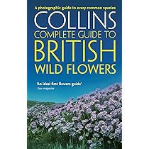 Hotel In Cocoa Beach | Best Western Cocoa Beach - Port Canaveral - Foto 2