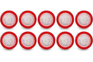 AMTAST Syringe Filters PTFE 25MM Diameter 0.45um Pore Size Non Sterile(Pack of 10)