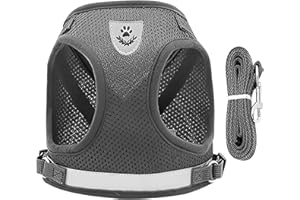 HRILKAOD Ensemble de Harnais et Laisse pour Chat, Harnais Chaton Petit Chien Anti-Évasion Léger et Confortable Gilet Respirant pour Lapin Chat Chiot, pour la Marche et Le Voyage, Gris