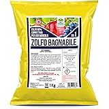 Albagarden - Zolfo in Polvere Bagnabile - Concime Minerale Naturale, Biologico, Contro Oidio Mal Bianco Peronospora Ticchiola