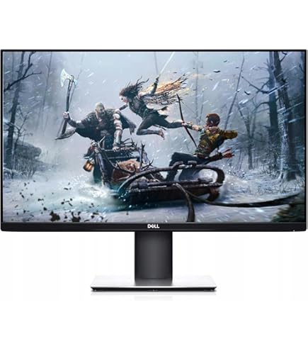 Dell Professional P2417H 23.8