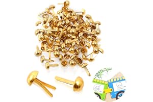 TENGEE 100 Stück Musterbeutelklammern,Rundkopfklammern,Metallhandwerk,Musterklammern,Musterbeutelklammer,Briefklammern,für Schule Büro Kartenherstellung,DIY Scrapbooking Handwerk Papier Verschlüsse