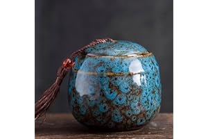 LYLQMY Small Ceramics Urn, Keepsake Urns for Human Ashes, Mini Cremation Urns - Fits a Small Amount of Cremated Remains - Display Burial at Home or Office Decor
