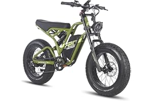 Fafrees F20 Ultra Bici Elettrica E-Bike, Batteria 48V 25Ah, Città Elettrici da 20"* 5.0 Pollici, Motore Fatbike, Autonomia Mountain Bike Fino a 80-140 km