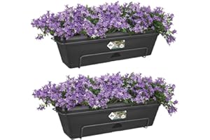 Elho Green Basics Balconnière Allin1 - Planteur pour Balcon - 2 pièces - 50 cm - Noir/Living Noir