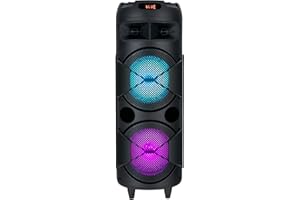 Beatfoxx PBS-835 Thundertube portabler Bluetooth Disco Lautsprecher mit Karaoke Funktion 60W - Retoure (Zustand: sehr gut)